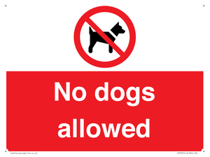 No dogs allowed